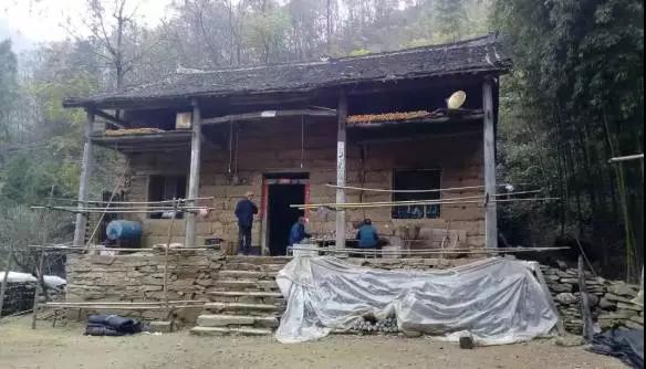 青山镇有多少人口_普安县青山镇图片(2)