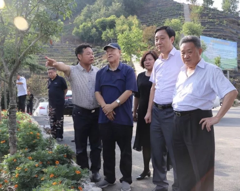 陈再生来商南调研乡村振兴及脱贫攻坚工作