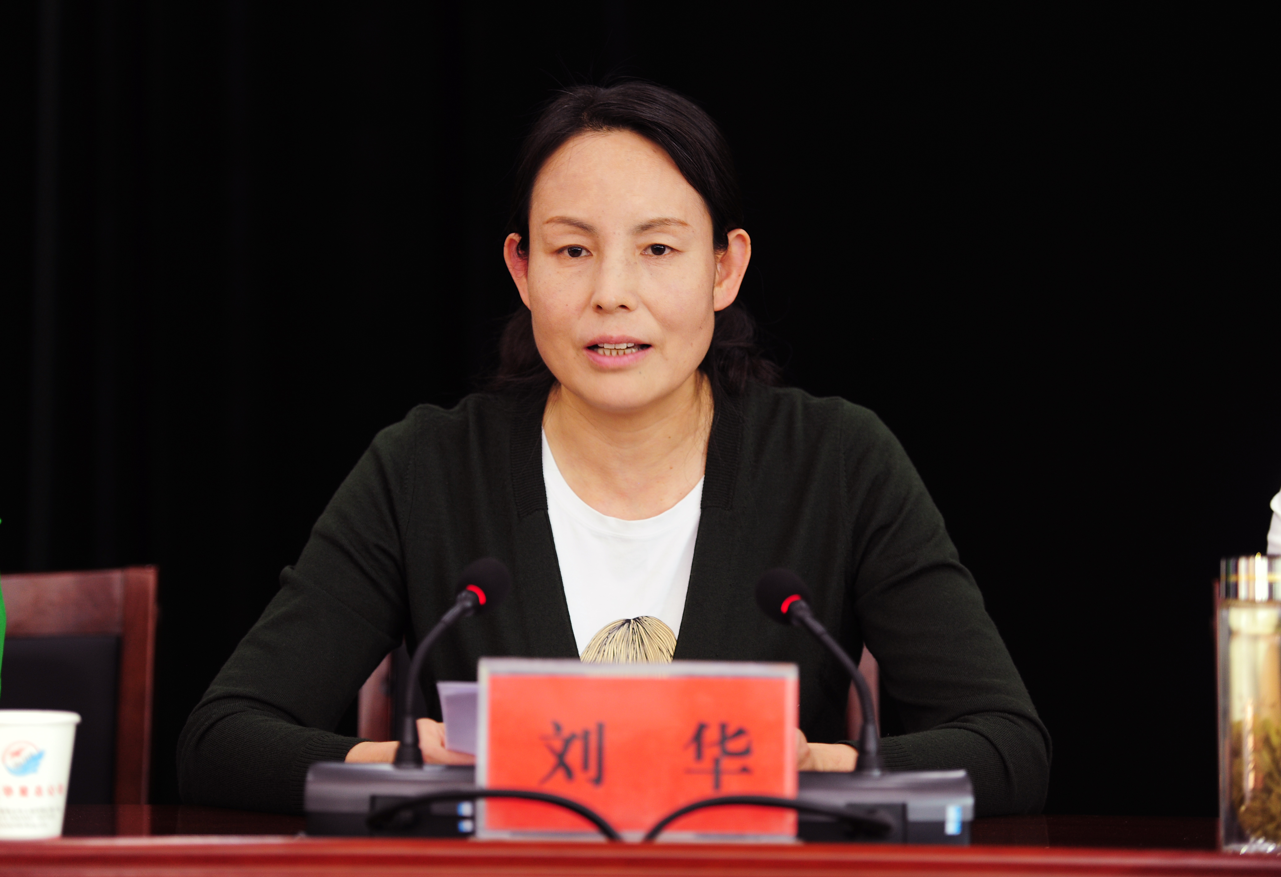 商南县召开国家全域旅游示范县创建推进会