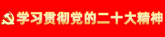 学习贯彻党的二十大精神