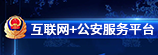 互联网+公安服务平台
