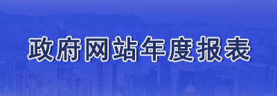 政府网站年度报表